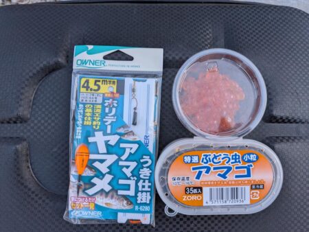 ウキ釣りで数稼ぎ